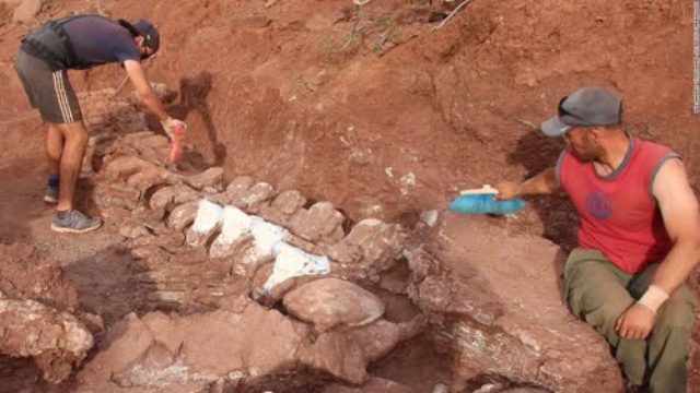 अर्जेंटीना में 140 मिलियन साल पहले के डायनासोर के जीवाश्म की हुई खोज