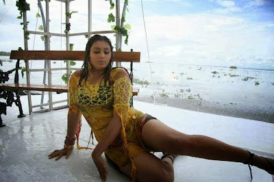 Mallu Namitha Hot Wet Bikini Dress Photos in Enga Maruthu Movie Stills