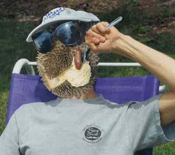 [Durian_head_eating2.jpg]