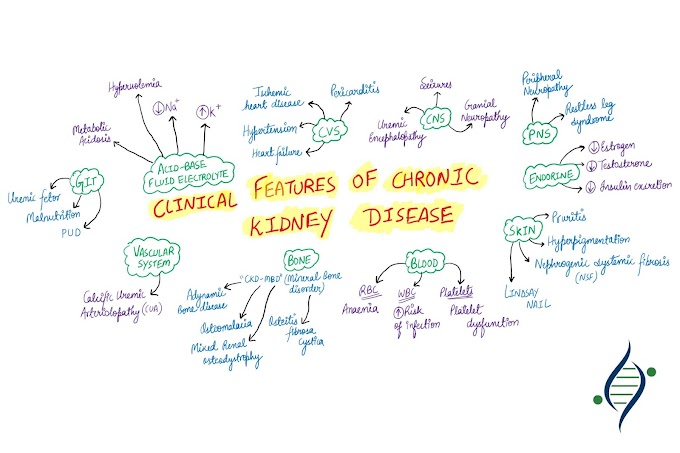 Clinical Features of CKD