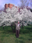 toateBlogurile.ro › Autentificare