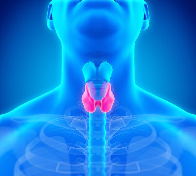 What is Thyroid Disease?