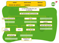 http://www.ceipjuanherreraalcausa.es/Recursosdidacticos/ANAYA%20DIGITAL/CUARTO/Cono/uni04_activi1_nutricion_plantas_n/