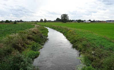 Zdjęcie: