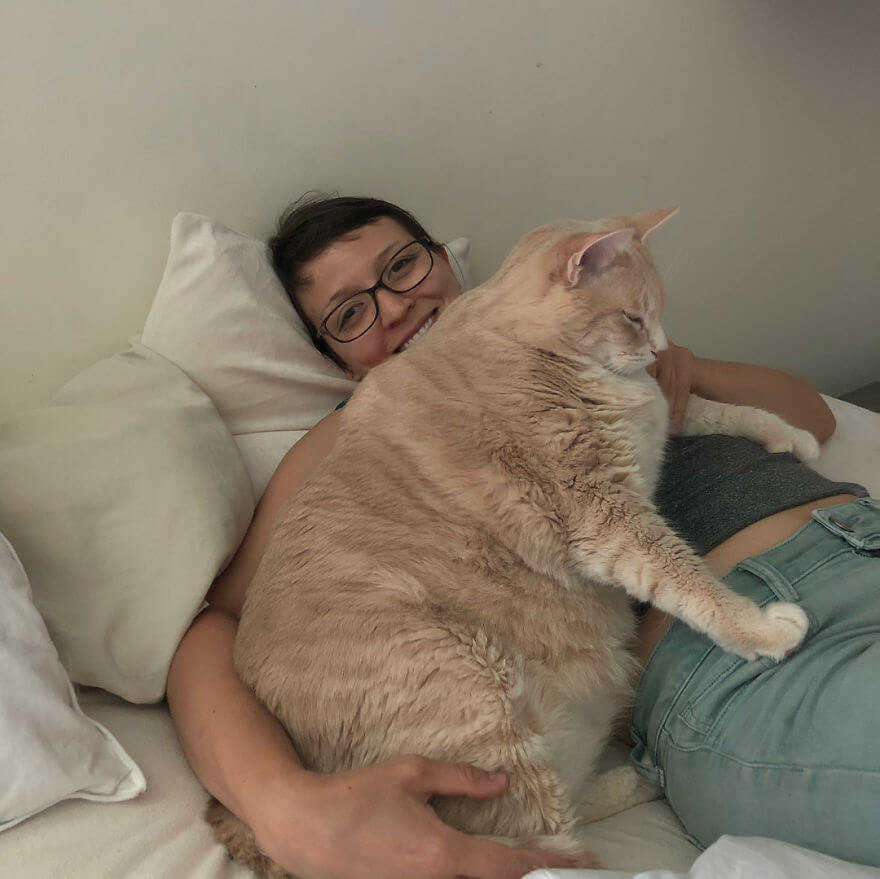 A Couple Adopted This Adorable 33-Pound Cat And Began His Weight Loss Journey