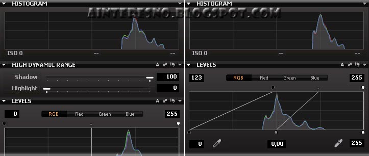 Capture One - High Dynamic Range и Levels