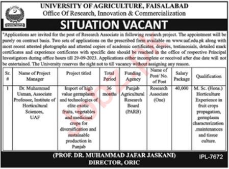 Jobs in University of Agriculture UAF