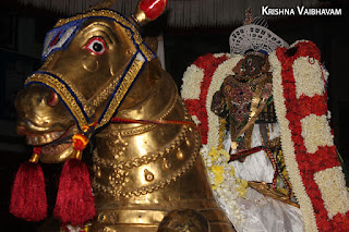 Sri Parthasarathy Perumal,Purattasi, Vijayadasami, Vedanthadesikar satrumurai,Purappadu,2016, Video, Divya Prabhandam,Triplicane,Thiruvallikeni,Utsavam,