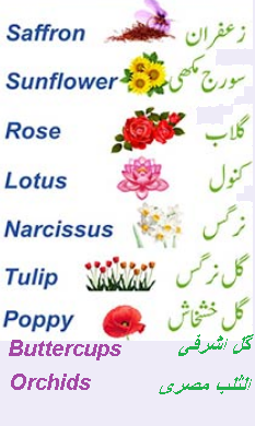 flower name in English
