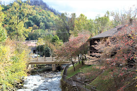 Cozy Old Creek Lodge stream view rooms 