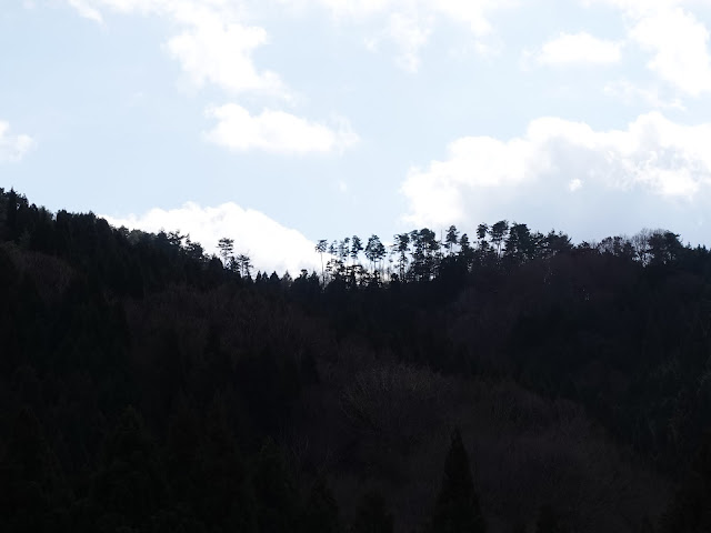 鳥取県日野郡江府町大河原集落からの眺望
