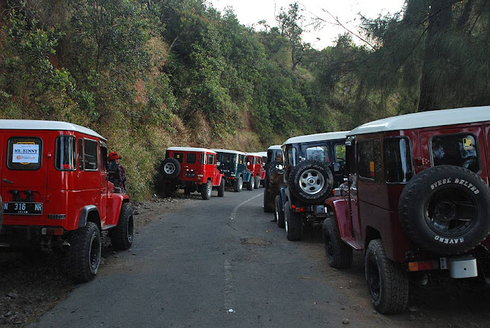 Coches aparcados