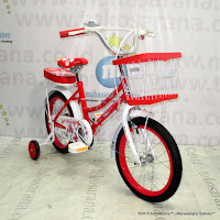 16 Inch Evergreen 16AP Butterfly Kids Bike