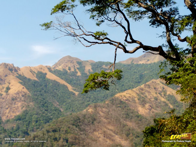 The beauty of Western Ghats - Sahyadri mountains as seen from the Bengaluru-Mangaluru day train