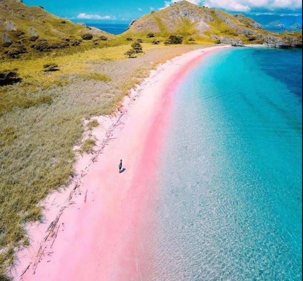 pantai pink lombok