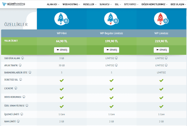 guzel hosting paketler