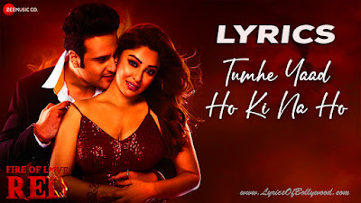 Tumhe Yaad Ho Ki Na Ho Song Lyrics | Fire of Love Red | Shaan, Reema Nathaniel | Krushna Abhishek, Payal Ghosh