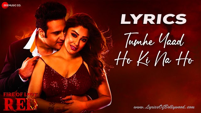 Tumhe Yaad Ho Ki Na Ho Song Lyrics | Fire of Love Red | Shaan, Reema Nathaniel | Krushna Abhishek, Payal Ghosh