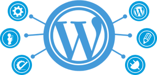 wordpress developer india