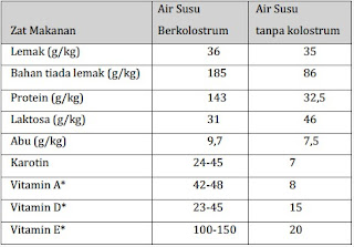 Penanganan Pedet Setelah Dilahirkan ( perawatan dan kelostrum tiruan )