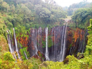 Coban Sewu Lumajang | Tumpak Sewu