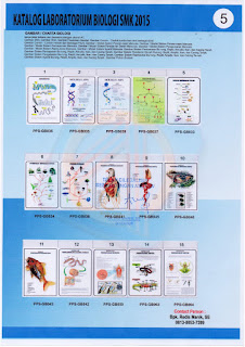 Alat Laboratorium Biologi SMK - Alat Peraga Biologi SMK ~ Peralatan Laboratorium Biologi SMK