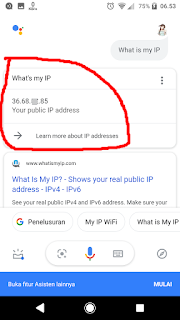 cek alamat ip address melalui google asisten