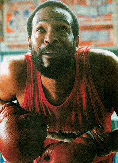 Marvin Gaye guantes box