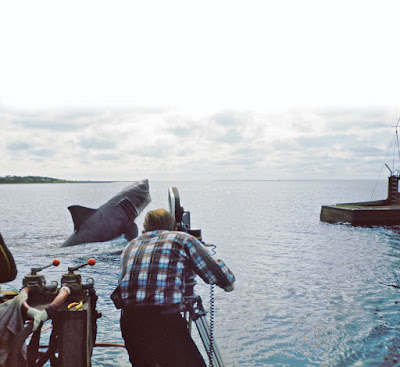 Tiburón detrás de las cámaras