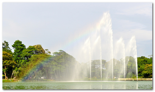 ve may bay di yangon