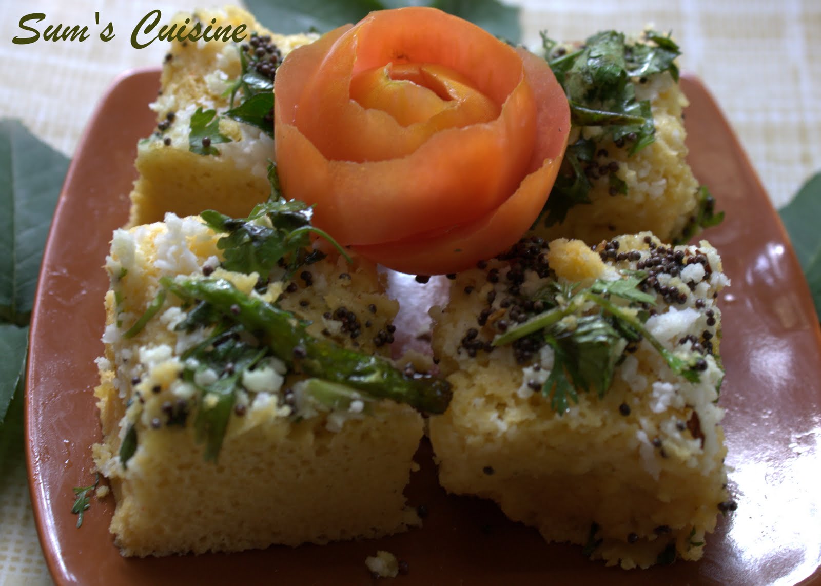 dhokla preparation page 2 dhokla preparation page 3 dhokla preparation ...