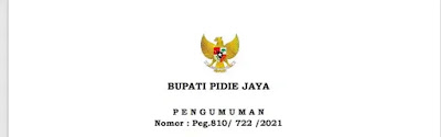 JADWAL TES CPNS PIDIE JAYA 2021