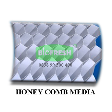 Detail Layout STP Biofresh - Honey Comb Media
