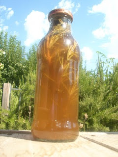 Rosemary Steeping in Vinegar