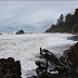 Road Trip: The Pacific Ocean