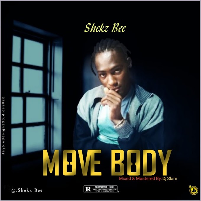 Download music mp3: Shekz Bee - Move Body 