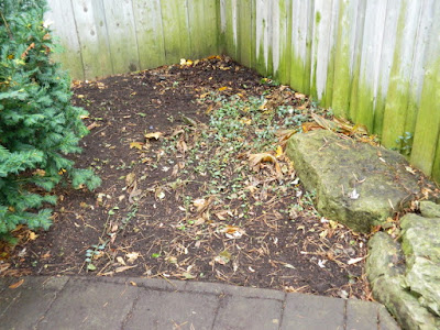 Toronto Gardening Services Bedford Park Backyard Fall Clean up after by Paul Jung