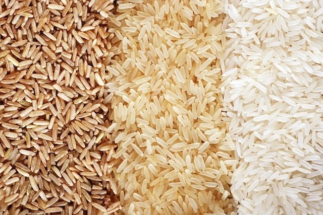 Os Maiores Produtores de Arroz do Brasil