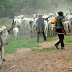 VIDEO: Mass Exodus Of Suspected Fulani Killer Herdsmen From Ibarapa LGA, Ibadan Over Quit Notice Ultimatum