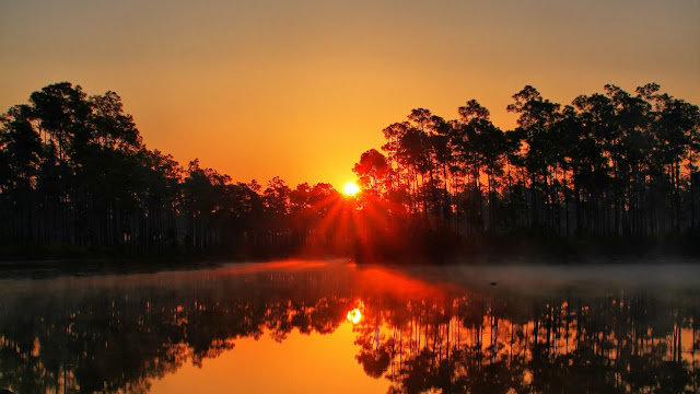 Sunset, Lake, Nature, Rays, Trees, Florida