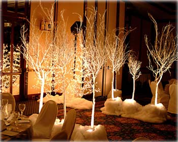 White Rose Weddings  Celebrations Events Winter  Wedding  