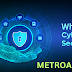 What is Cyber Security and Why Cyber Security is Necessary ?