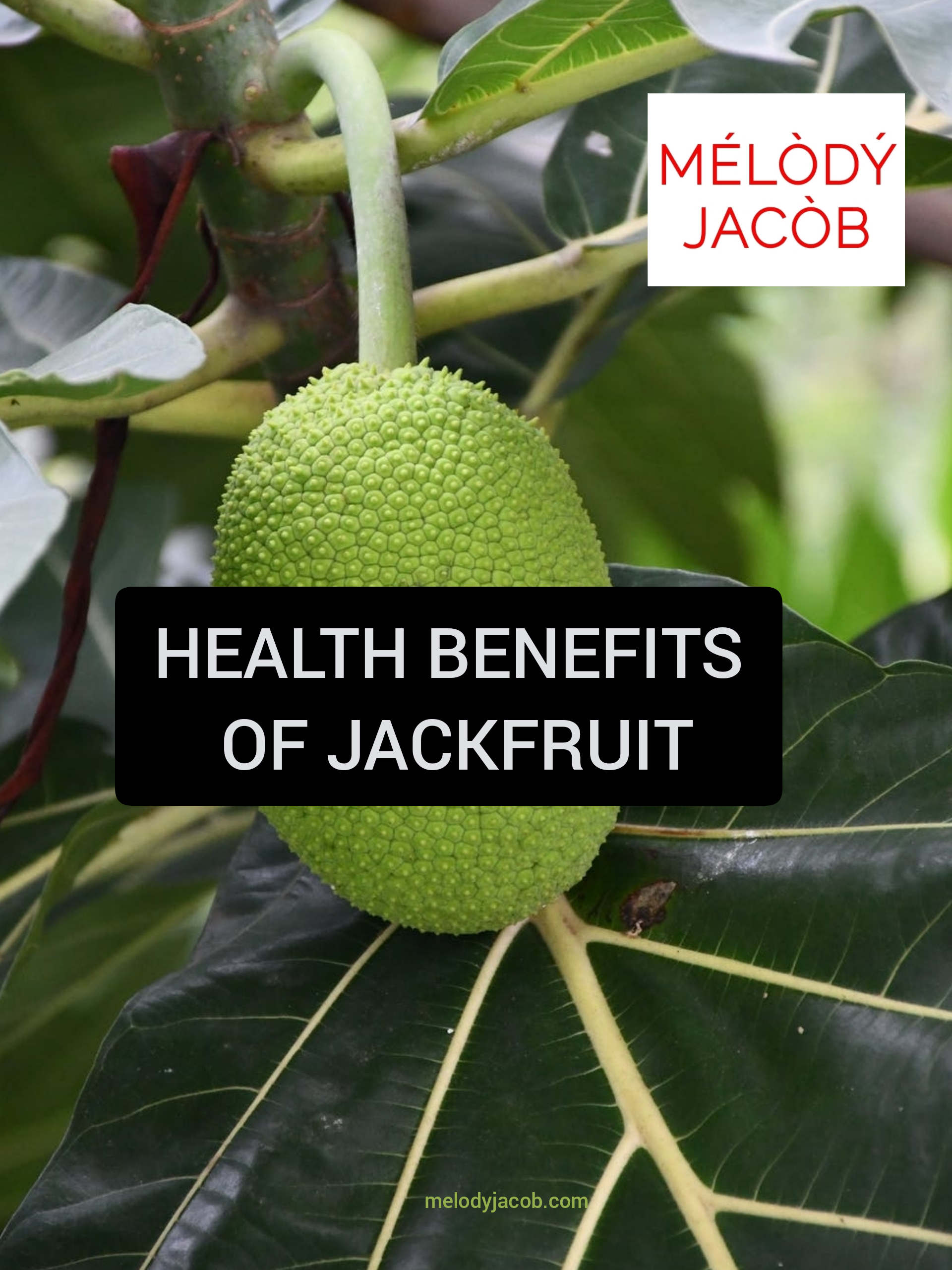 health benefits of jackfruit?