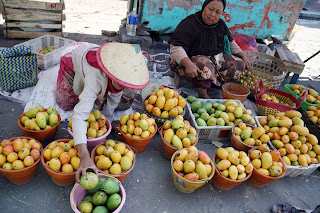 Agro Wisata Kampung Mangga Banyakan Kediri