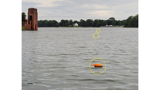 A straight line of crab pots floats.