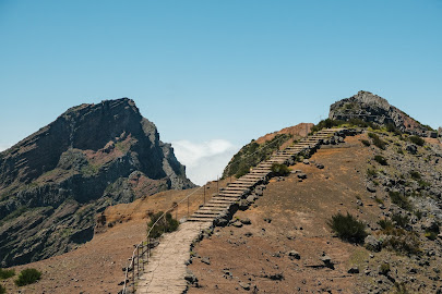 The Very Best and Worst time to Visit Madeira - When to Go and What to See