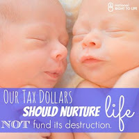 Our Tax Dollar should Nurture Life, NOT fund its destruction