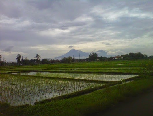 Keindahan Pemandangan Alam Gunung Merapi Sore Hari Saat 