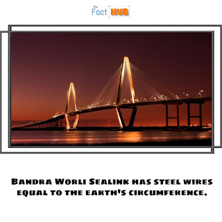 Bandra Worli Sea link has steel wires equal to the earth's circumference.