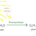 Plant Physiology-Photosynthesis-process | by UK Sir